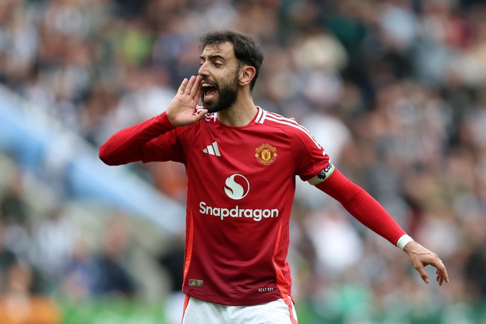 今年由于 今年由于